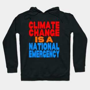 Climate change is a national emergency Hoodie